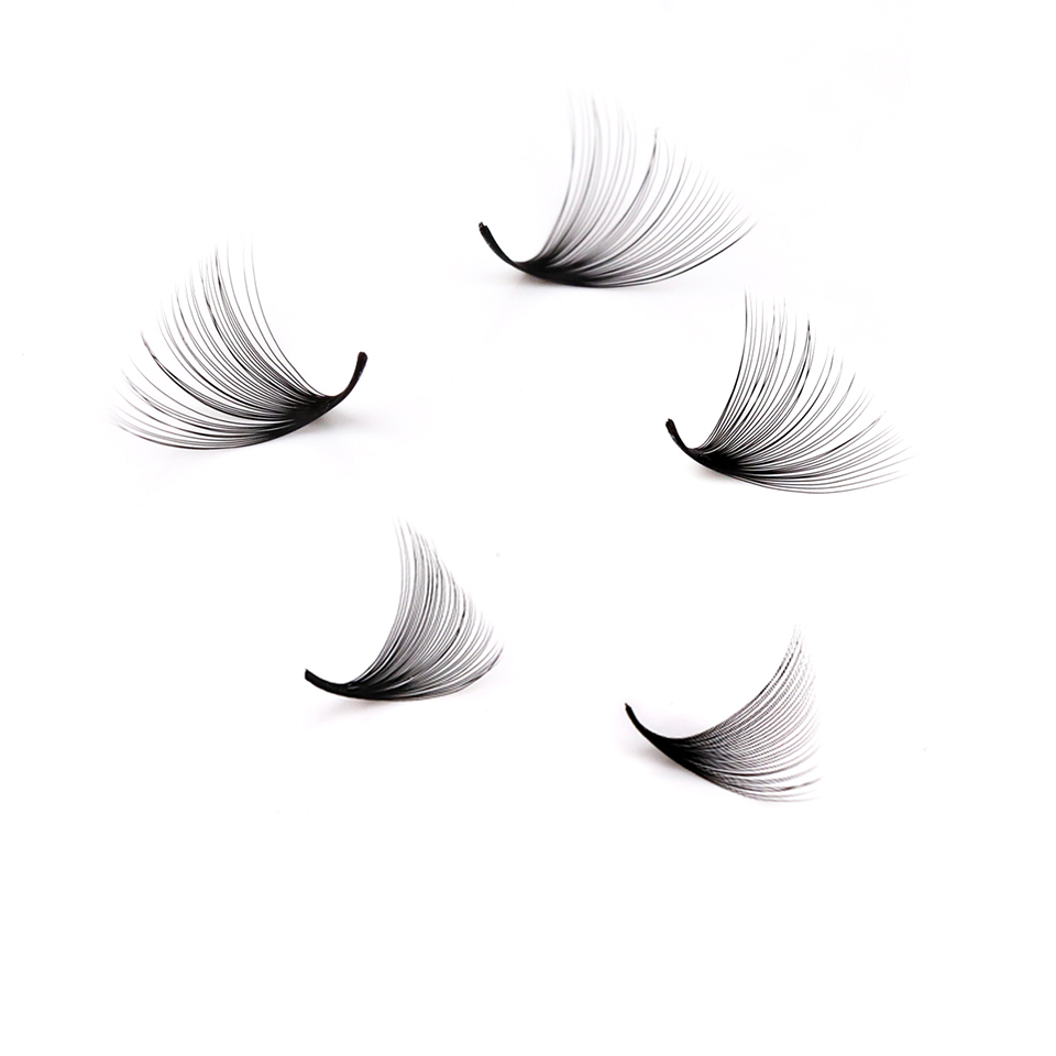 Lashprofessor XL Tray Pestañas - Eyelash Extension Russian reseña y precio