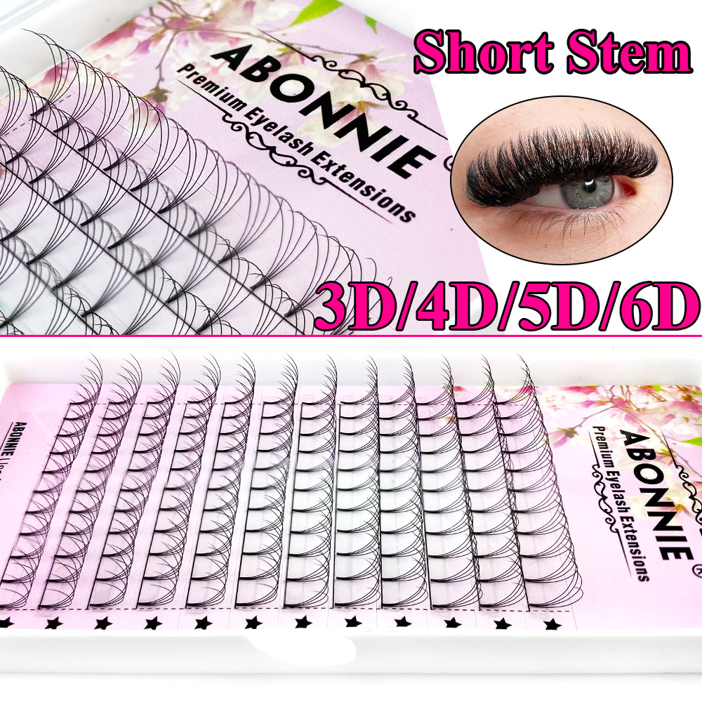 Abonnie 6D Abanicos Preformado - Eyelash Extension For Asian Eyes reseña y precio