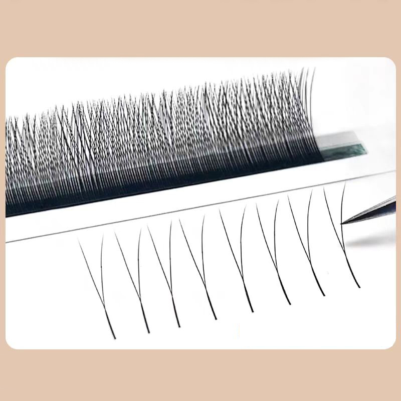 Pestañas MARIA 2D en forma de  - Eyelash Extension For Asian Eyes reseña y precio