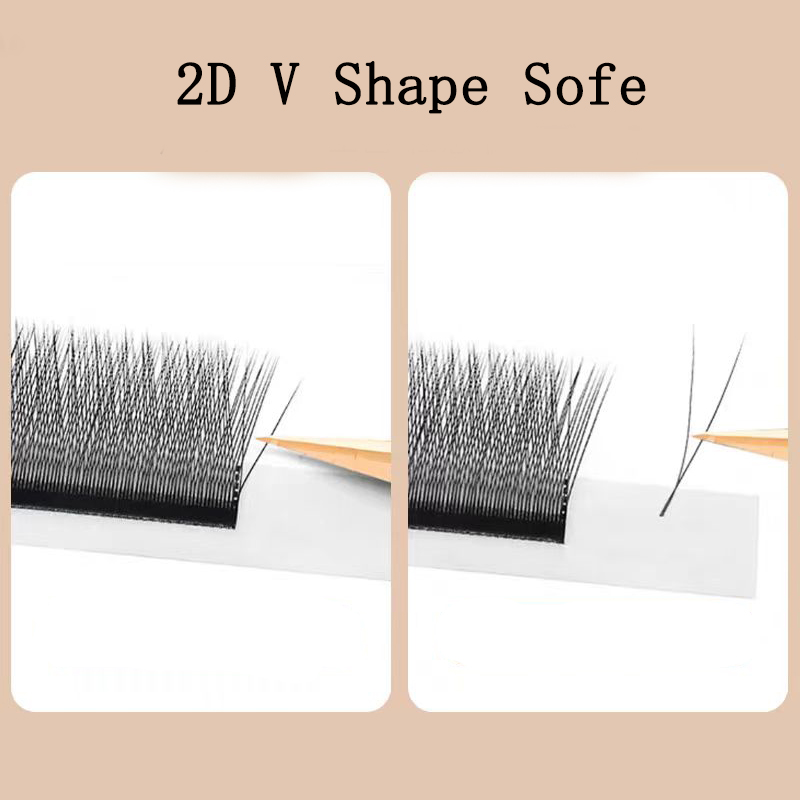 Pestañas MARIA 2D en forma de  - Eyelash Extension For Asian Eyes reseña y precio